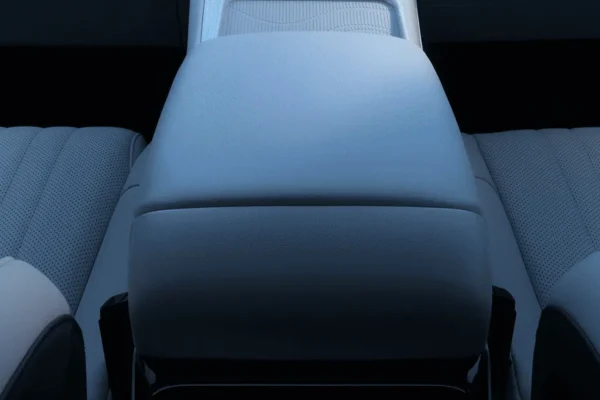 GEELY STARRAY EM-i