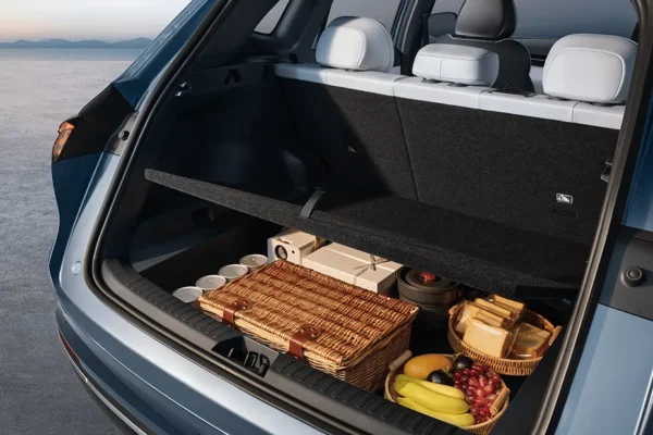 GEELY STARRAY EM-i